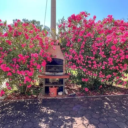 Viola Two * Novigrad Istria