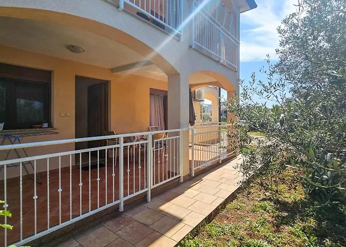 Viola Two * Novigrad Istria