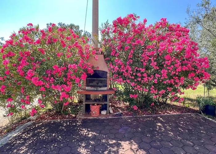 Viola Two * Novigrad Istria