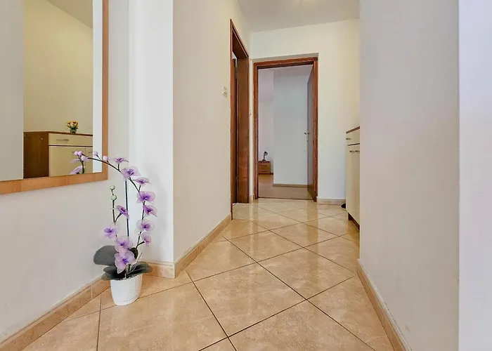 Viola Two Διαμέρισμα *