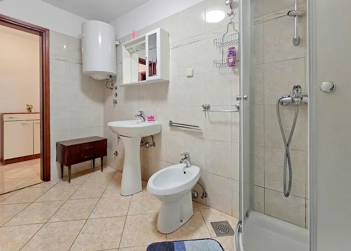 Viola Two Διαμέρισμα Novigrad Istria