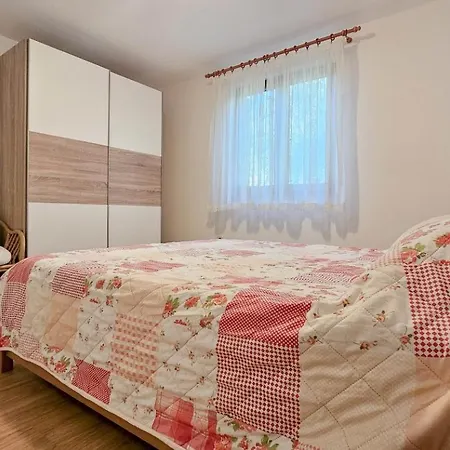 Viola Two * Новиград