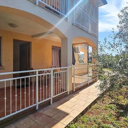 Viola Two * Новиград